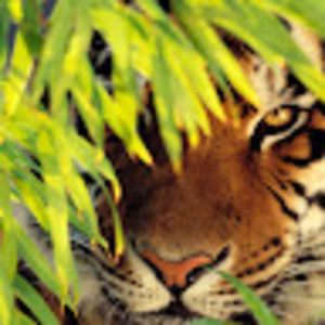 Meet your Posher, Jan